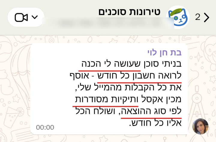 בת חן לוי: אוסף את כל הקבלות מהמייל שלי ומכין אקסל ותיקיות של פידאפים מופרדות לפי סוג ההוצאה ואז שולח מייל+ אקסל+ תיקיות מכווצות לרוח כל חודש